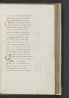 ku-speccoll:17384-161