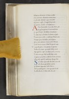 ku-speccoll:17384-182