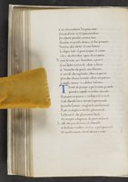 ku-speccoll:17384-208