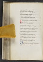 ku-speccoll:17384-210