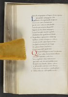 ku-speccoll:17384-212