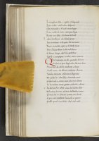 ku-speccoll:17384-218