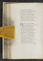 ku-speccoll:17384-222