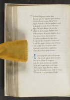 ku-speccoll:17384-224