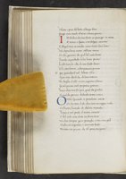 ku-speccoll:17384-232
