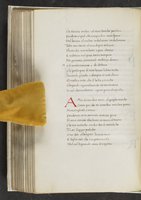 ku-speccoll:17384-250