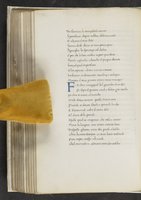 ku-speccoll:17384-252