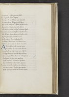 ku-speccoll:17384-261