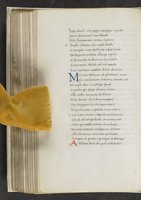ku-speccoll:17384-274
