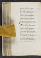 ku-speccoll:17384-278