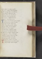 ku-speccoll:17384-281