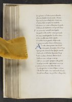 ku-speccoll:17384-282