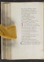 ku-speccoll:17384-286