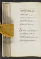 ku-speccoll:17384-288