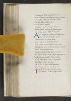 ku-speccoll:17384-290