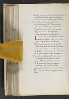 ku-speccoll:17384-294
