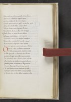ku-speccoll:17384-295