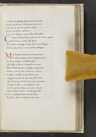 ku-speccoll:17384-299