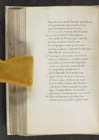 ku-speccoll:17384-300