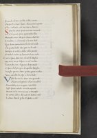 ku-speccoll:17384-303