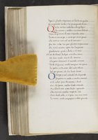 ku-speccoll:17384-310