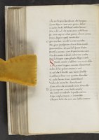ku-speccoll:17384-316