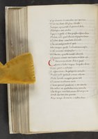 ku-speccoll:17384-322