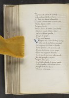 ku-speccoll:17384-332