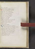 ku-speccoll:17384-333