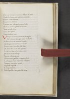 ku-speccoll:17384-335