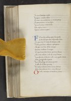 ku-speccoll:17384-336