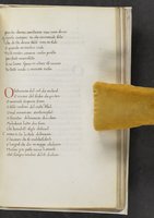 ku-speccoll:17384-341