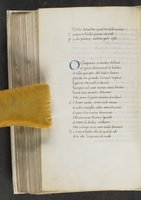ku-speccoll:17384-342