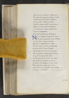 ku-speccoll:17384-346