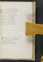ku-speccoll:17384-347
