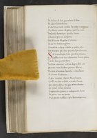 ku-speccoll:17384-348