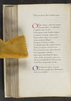 ku-speccoll:17384-356