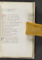 ku-speccoll:17384-359