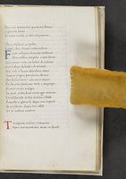 ku-speccoll:17384-361