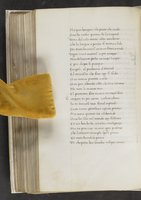 ku-speccoll:17384-362