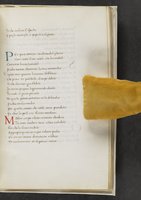 ku-speccoll:17384-363
