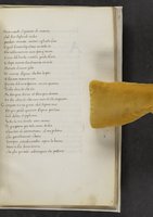 ku-speccoll:17384-369