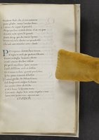 ku-speccoll:17384-371