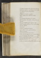 ku-speccoll:17384-374
