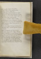 ku-speccoll:17384-375