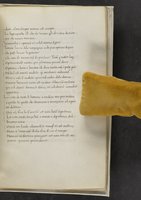 ku-speccoll:17384-377
