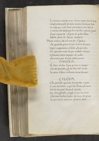 ku-speccoll:17384-378