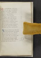 ku-speccoll:17384-381