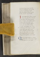ku-speccoll:17384-382
