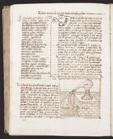 ku-speccoll:1729-318